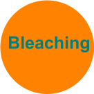 Bleaching