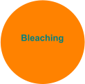 Bleaching