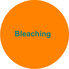 Bleaching