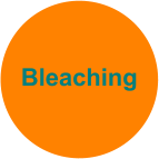 Bleaching